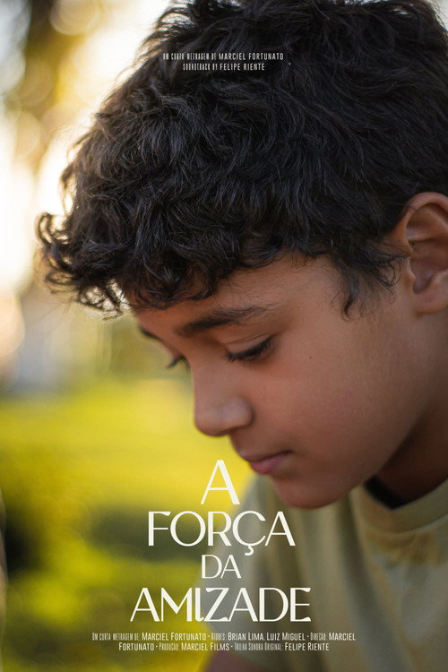 A Força da Amizade poster