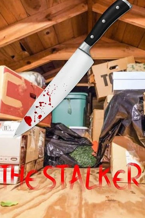 The Stalker poster