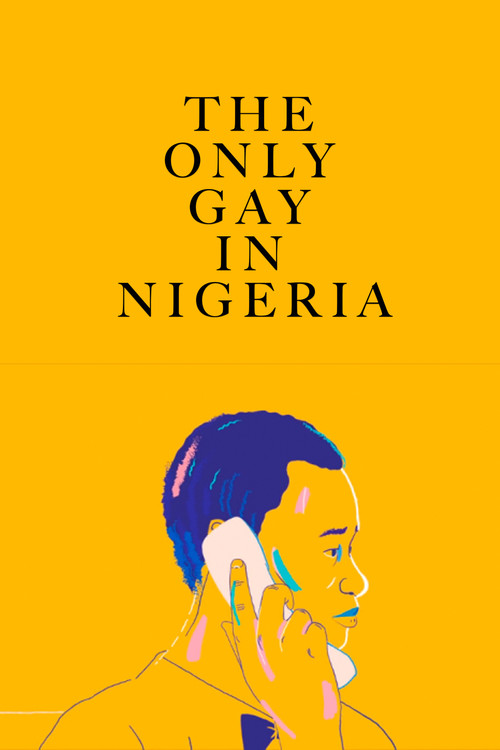 The Only Gay in Nigeria poster