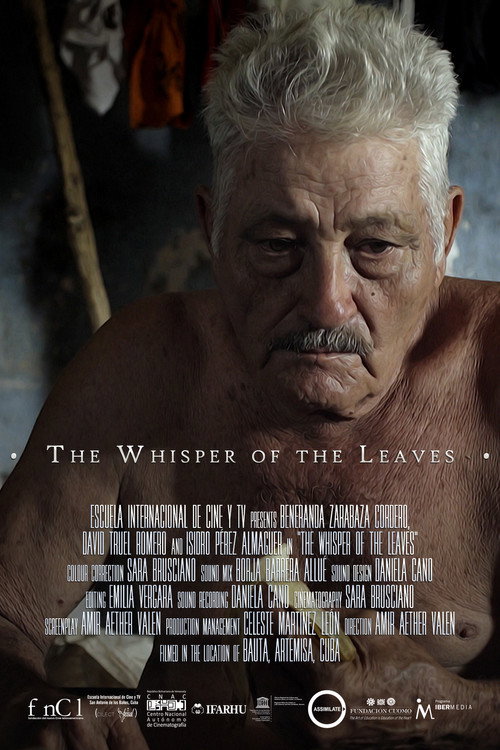 The Whisper of the Leaves poster