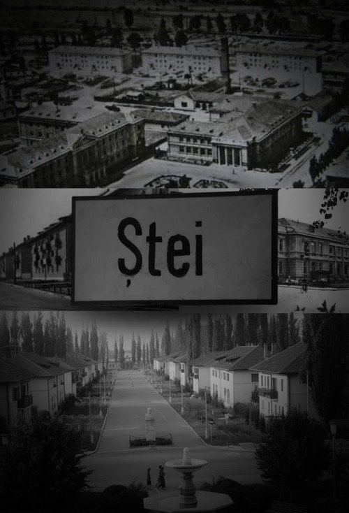 Ștei poster