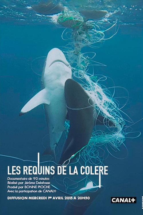 Les Requins de la Colère poster