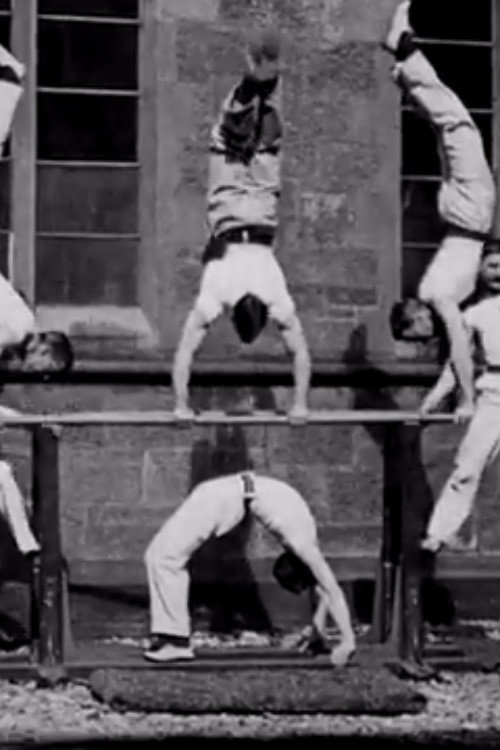 Gymnasts on Parallel Bars poster