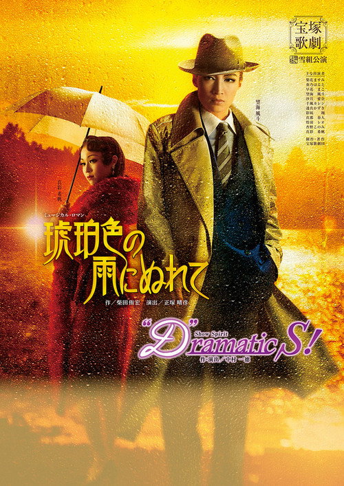 In the Amber-Hued Rain poster