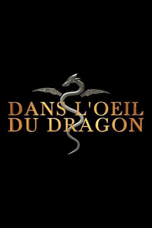 Dans l'oeil du dragon poster