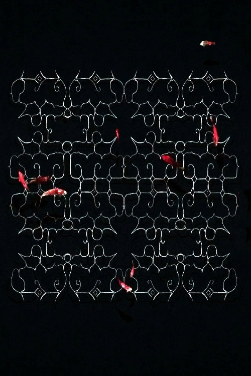 Ciciri poster