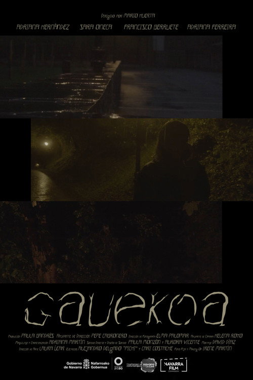 Gauekoa poster