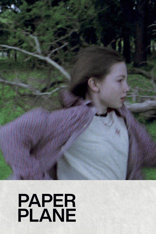 Paper Plane poster