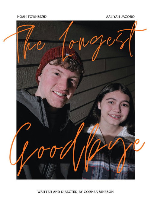 The Longest Goodbye poster
