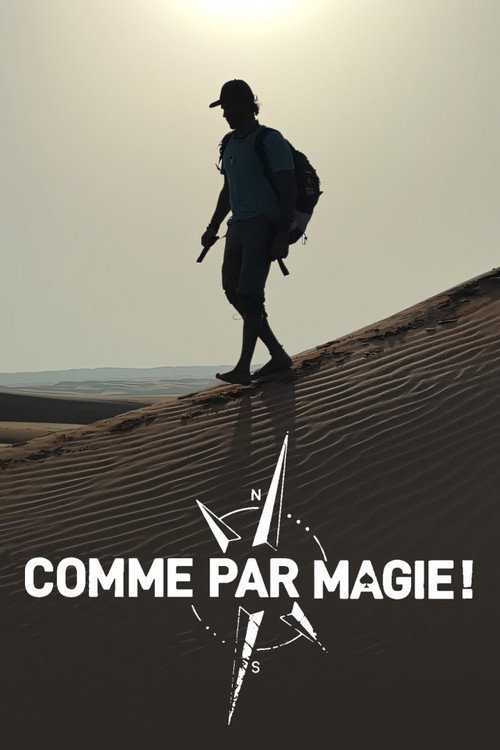 Comme par magie poster