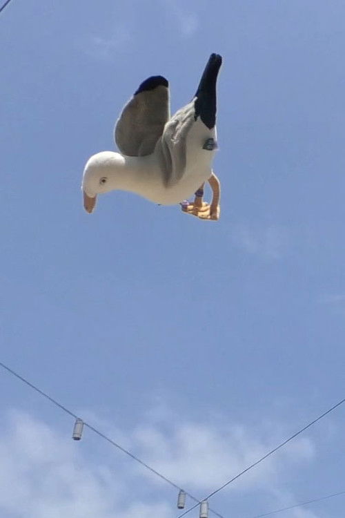 Double Jump poster