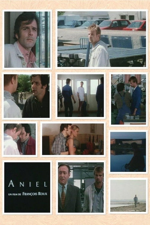 Aniel poster