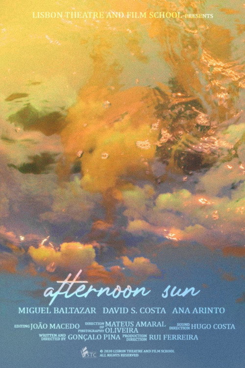 Afternoon Sun poster