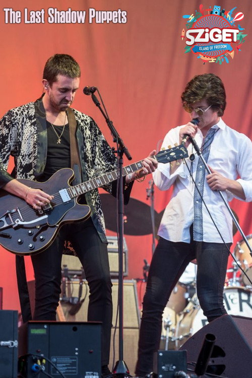 The Last Shadow Puppets at Sziget Festival poster