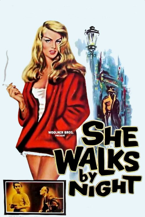 She Walks by Night poster