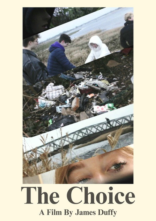 The Choice: Illegal Dumping poster