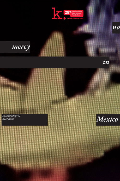 no_mercy_in_mexico poster