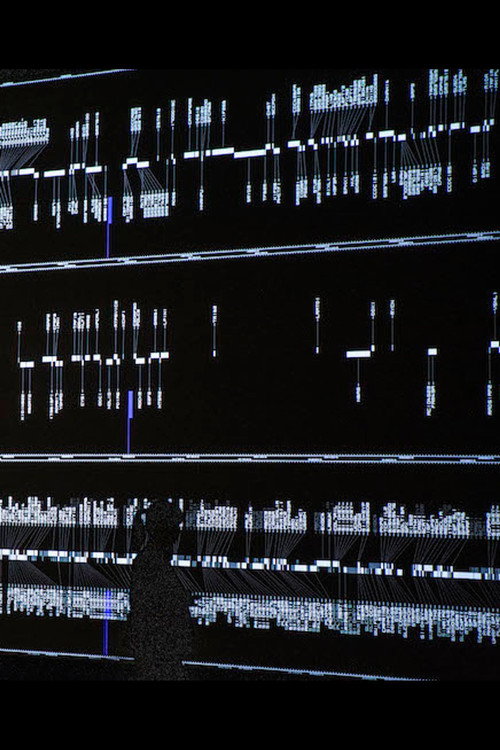 data-verse 2 poster