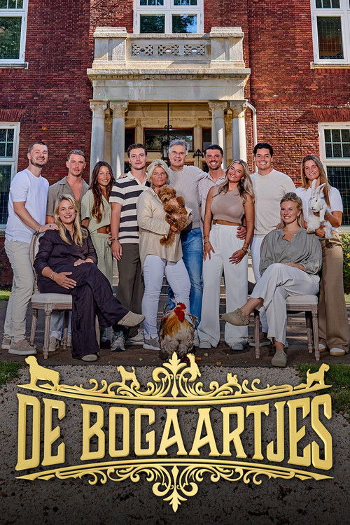 De Bogaartjes poster