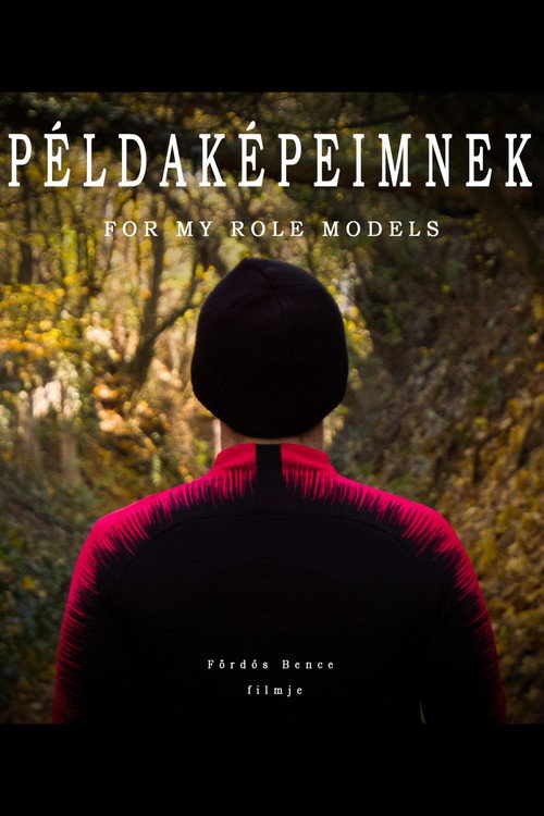 For My Role Models poster