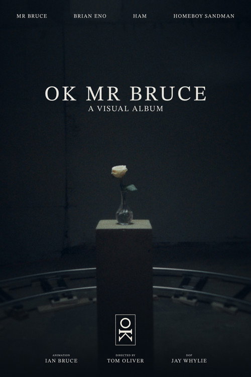 OK MR BRUCE poster