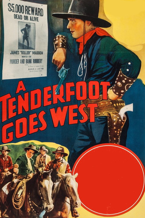 A Tenderfoot Goes West poster