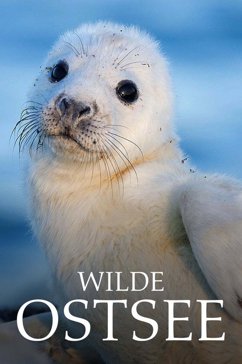 Wild Baltic Sea poster