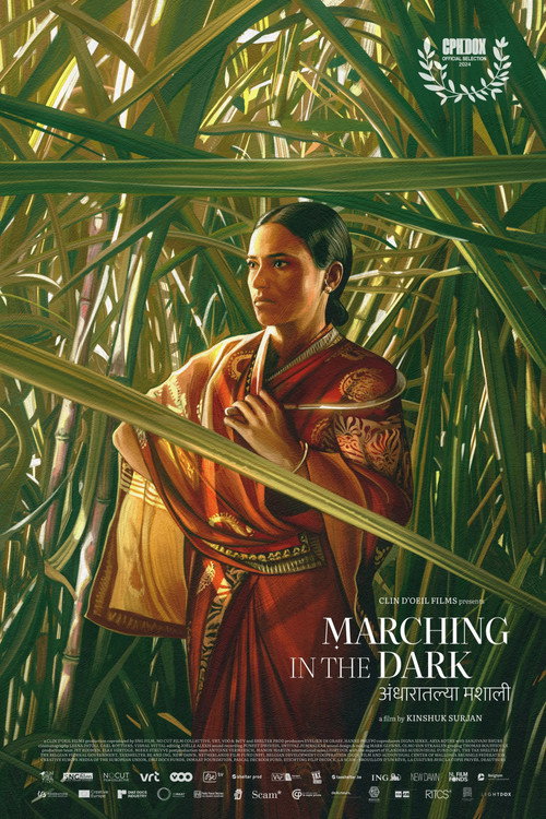 Marching in the Dark poster