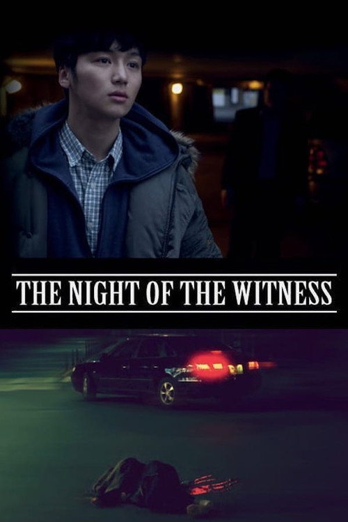 The Night of the Witness poster