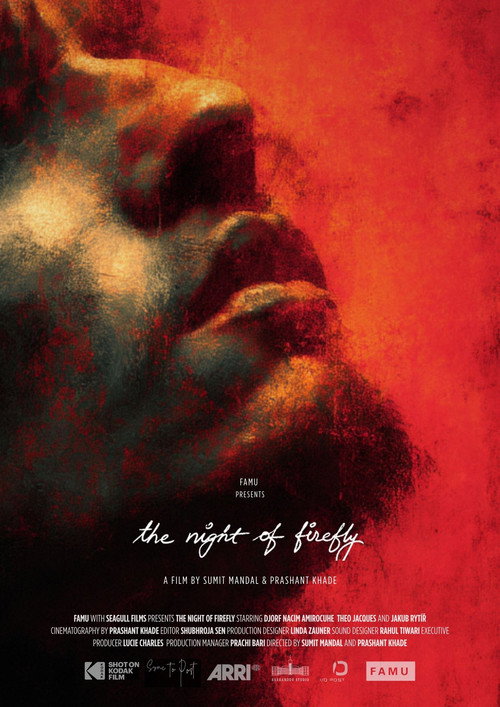 The Night of Firefly poster