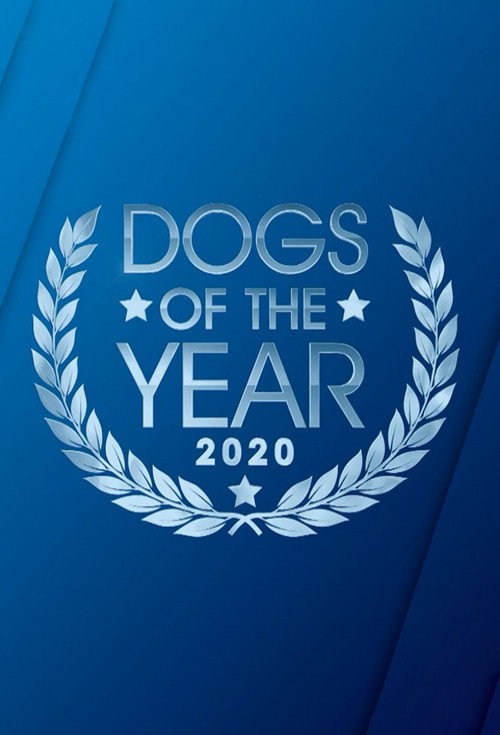 Dogs of the Year poster