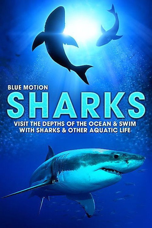 Blue Motion: Rulers of the Oceans poster