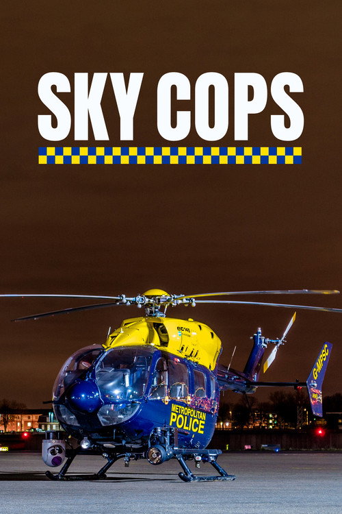 Sky Cops poster