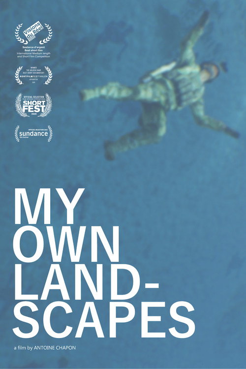 My Own Landscapes poster