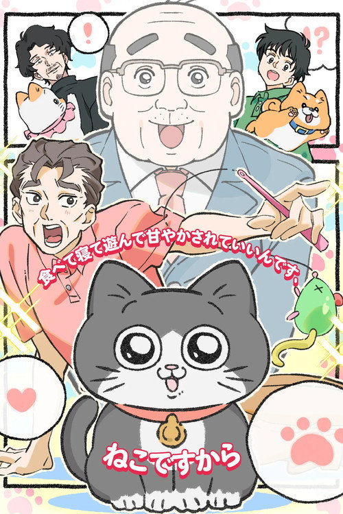 Cat Uncle: The Guy That Got Reincarnated As a Cat poster