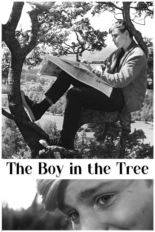 The Boy in the Tree poster