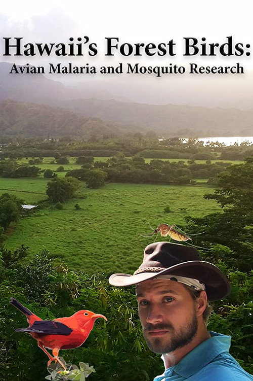 Hawaii's Forest Birds: Avian Malaria and Mosquito Research poster