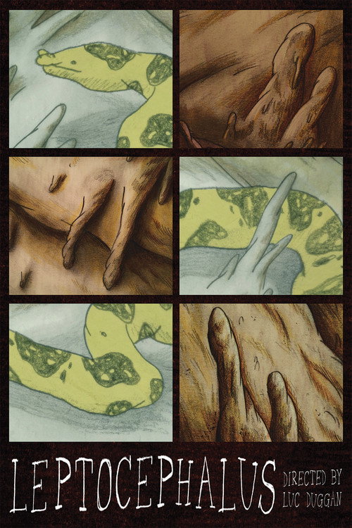Leptocephalus poster