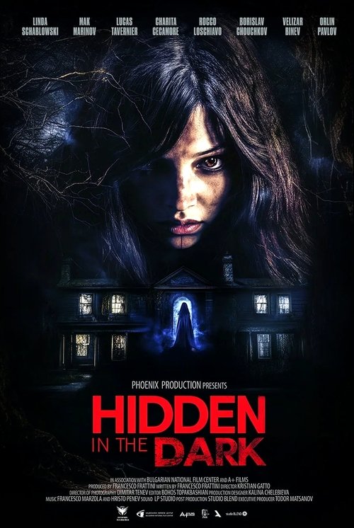 Hidden in the Dark poster