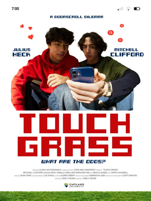 Touch Grass poster