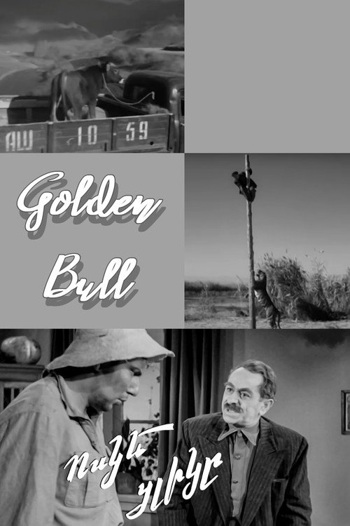 Golden Bull Calf poster