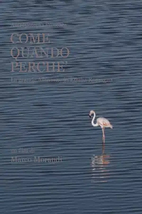 Come quando perché poster