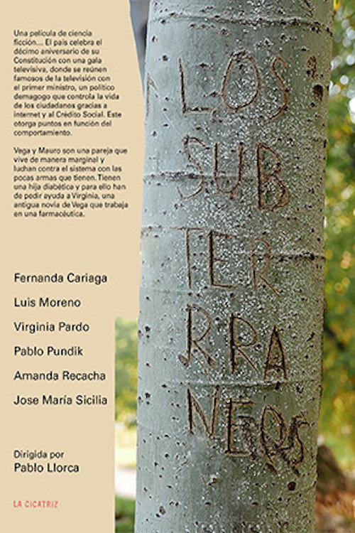 Los subterráneos poster