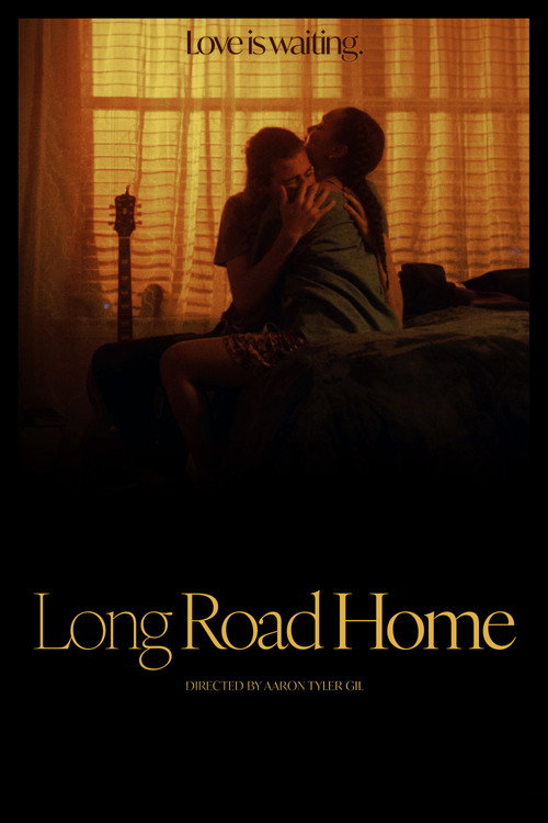 Long Road Home poster