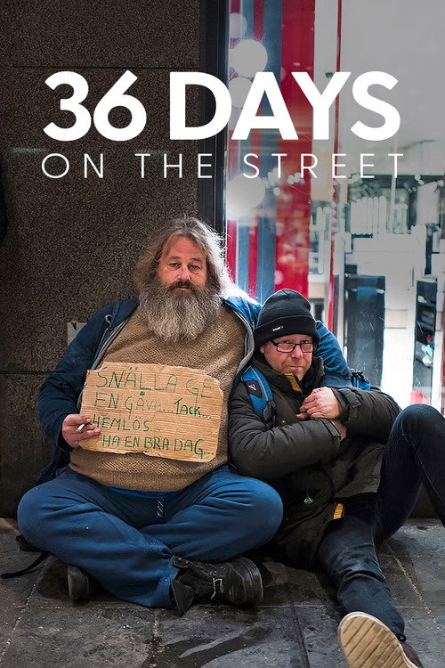 36 Days on the Street poster