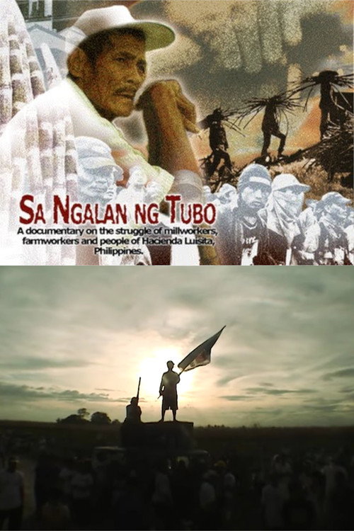 In the Name of the Sugarcane poster
