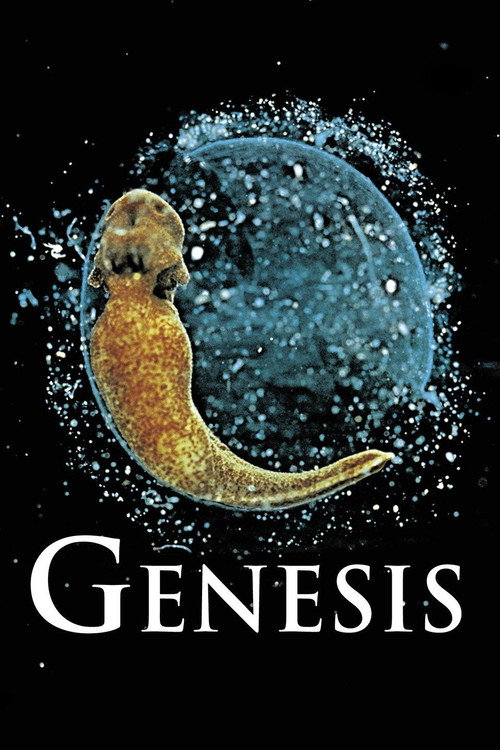 Genesis poster