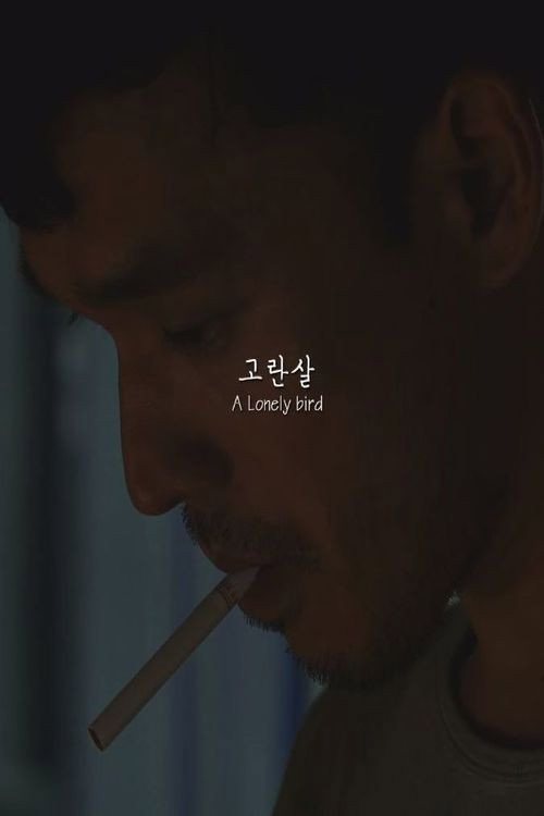 A Lonely bird poster