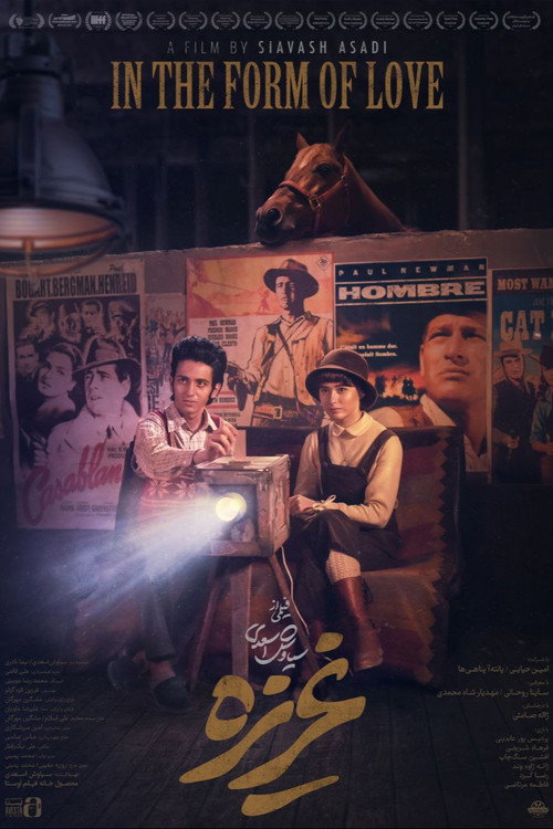 In The Form of Love poster