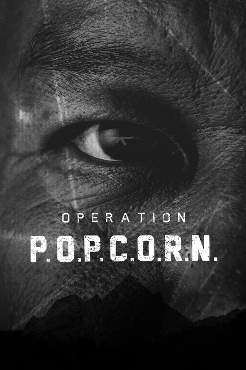 Operation Popcorn poster